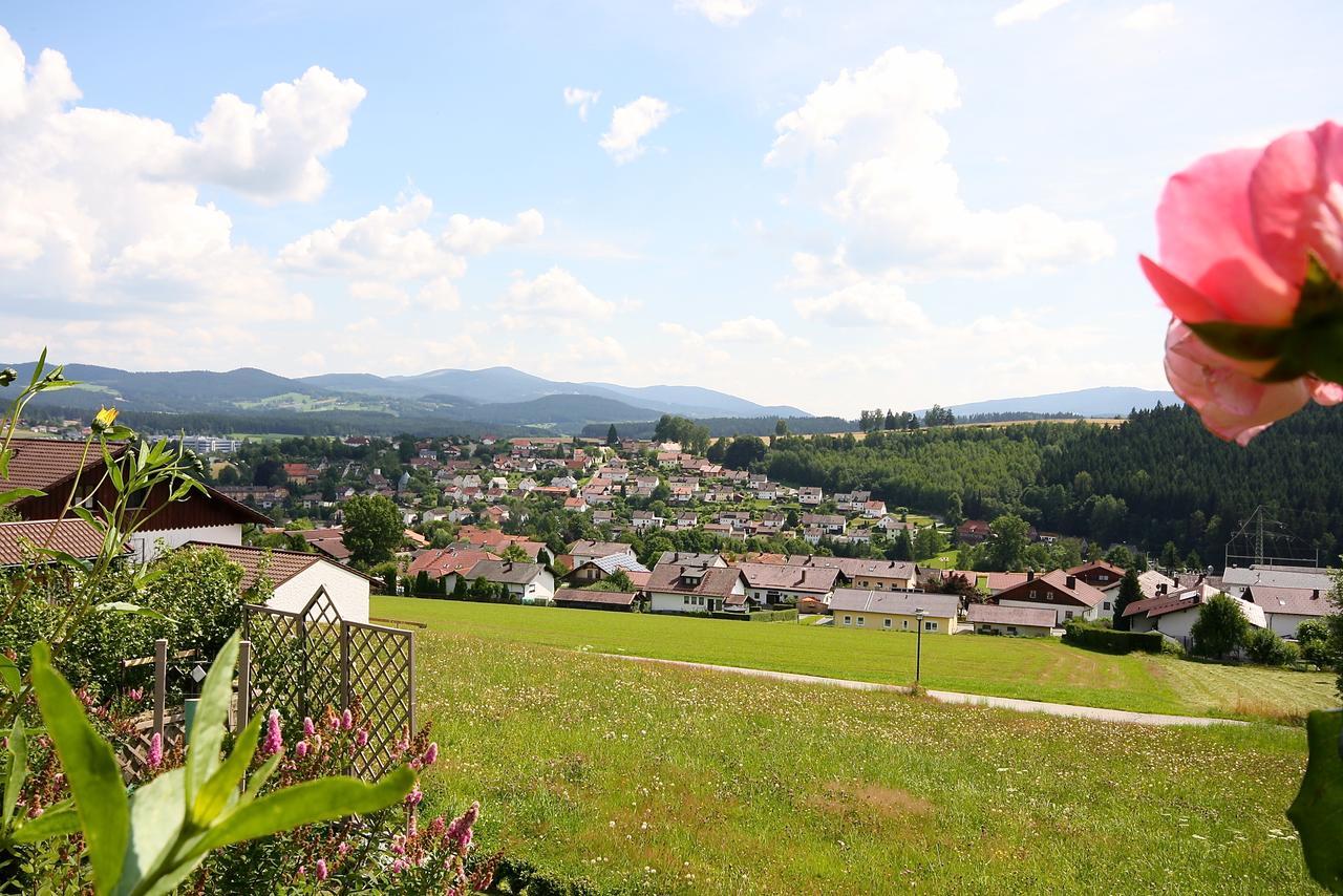 Ferienhaus Und Ferienwohnungen Holzapfel Geiersthal ภายนอก รูปภาพ